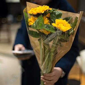 Compostable Transparent Opp Single Rose Nouquets <strong>Flower</strong> <strong>Sleeves</strong> Packaging - Product Image 6