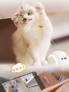 M6 Smart, Jouet intelligent pour animaux de compagnie M6 Smart, balle roulante interactive automatique avec caméra HD intégrée - Product Image 6