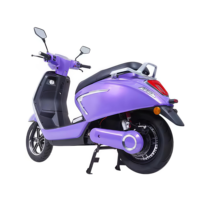 Vente en gros transfrontalière de vélos électriques, motos électriques pour adultes avec sièges allongés, options personnalisables