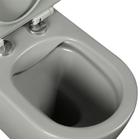 Offre Spéciale ensemble de toilette en céramique à double chasse d'eau deux pièces monté au sol femmes Bidet WC cuvette de toilette gris mat pour la maison hôtel