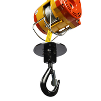 Petit treuil électrique à câble métallique 500 kg 30 m Treuil électrique pour échafaudage 220 V 110 V
