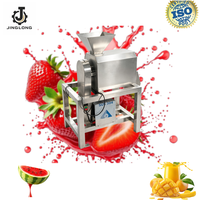 Mango Puree Extractor Machine 500kg/uur Industriële RVS Mango Pulper / Fruitpulp Sapmachine Prijs