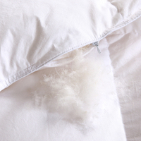 Vente chaude hôtel cinq étoiles Hilton White 95% duvet de canard confortable noyau de couette chaud peut être lavé avec de l'eau