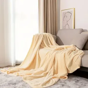 Kalınlaşmış düz renk ananas flanel battaniye yumuşak sıcak rahat atmak battaniye bulanık dekor yatak kanepe kanepe seyahat ofis için