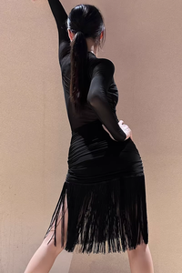 महिलाओं के लिए लेटिन नृत्य पोशाक वयस्क स्पैन्डेक्स/पॉलिएस्टर तुटू स्कर्ट लंबी आस्तीन गहरी v गर्दन के पंनी उन्नत ज्ञान विभाजन प्रशिक्षण - Product Image 6