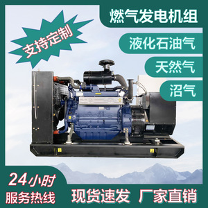 เครื่องกำเนิดไฟฟ้าก๊าซมาซัค 300 กิโลวัตต์ อัตโนมัติ 400 โวลต์ สำหรับโรงงานก๊าซชีวภาพและการบำบัดน้ำเสีย - Product Image 5