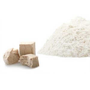 Aislado de levadura rico en proteínas, ingrediente vegano para formulaciones comerciales de alimentos y suplementos. - Product Image 1
