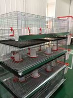 Nouveau système de cages à poules pondeuses de type H en acier inoxydable pour l'élevage avicole, avec collecte automatique des œufs et élevage de poulets de chair