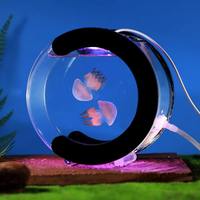 Aquarium autoportant en verre au design contemporain, accessoires de décoration pour la maison, éclairage de chambre, différentes tailles