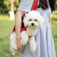 Sac à dos de transport premium pour chiens et chats – Sac de poitrine confortable et mains libres avec design respirant