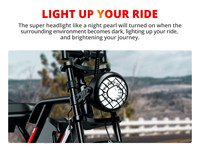 Vélo électrique hybride EU USA S8 20 pouces 48V 250W, suspension intégrale, fatbike, batterie intégrée, cadre en alliage d'aluminium, vélo de montagne électrique