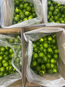 Exportateur de citrons sans pépins du Vietnam de qualité supérieure 100% Natural Fresh Agriculture Wholesale Supply - Product Image 5