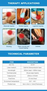 Bantalan pemulihan cedera sendi luka terapi fisik laser dingin penggunaan klinik hewan peliharaan kustom - Product Image 5