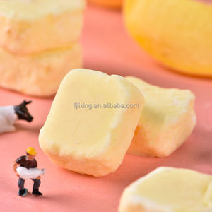 Vente en gros bon marché délicieux cube de morceaux de yaourt lyophilisé avec usine de source de manteau de chocolat - Product Image 3