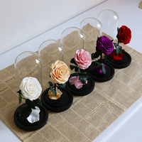 Belle la Bête Préservé Rose Led Verre Dôme Rose Éternelle pour Noël Halloween Fête des Pères Saint Valentin Fête des Mères Cadeau