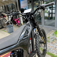 Moto tout-terrain électrique puissante Arctic Leopard Clouded Leopard XE PRO R 26500W 74V Performance Edition 101 km/h