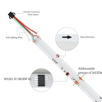 FCOB SPI RGBWW IC bande lumineuse LED 784 LED WS2814 couleur de rêve adressable 10mm DC24V SK6812 lumières FOB COB haute Flexible