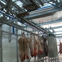 Équipement d'abattage de porcs d'élevage : Moteur de pompe à roulement en acier inoxydable SUS 304, haute efficacité, production de 60bp/h