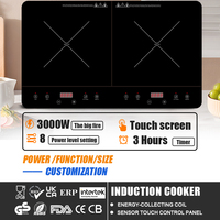 Cuisinière électrique à induction, plaque de cuisson à induction, double foyer, cuisinière électrique à induction en céramique