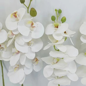 Hoa Giả Mô Phỏng Cao Nhà Máy Hoa Lan Hồ Điệp Nhựa Cành Nhân Tạo, Phong Lan Bướm - Product Image 3