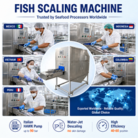 Desescamadora de Pescado Automática, Chorro de Agua Alta Presión SUS304, para Salmón Tilapia Mojarra Carpa, Planta Procesadora