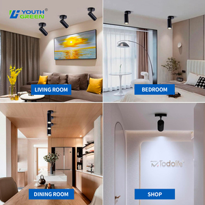 Trong NHÀ XUỐNG <span class=keywords><strong>LED</strong></span> ánh sáng theo dõi 20 Wát tuôn ra bề mặt được gắn trần Spotlight 5cct có thể điều chỉnh COB chiếu sáng lịch thi đấu - Product Image 2