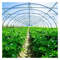 Grande serre tropicale à faible coût 8x40m cadres de serre de tomate agricole pour les plantes qui poussent en Thaïlande