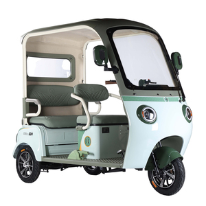 Tricycle électrique à carrosserie ouverte pour adultes, <span class=keywords><strong>moto</strong></span> à trois roues, vélo électrique, roues fermées, passager, moteur électrique, voiture, moteur EEC puissant - Product Image 1