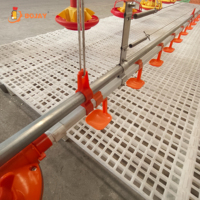 Système d'alimentation automatique pour poulets en cage, équipement pour élevages de poulets de chair commerciaux, fabricant direct d'usine, solution complète