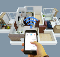 Bingoelec Zigbee Smart Life 16 Ampere Glas-Panel Universalsteckdose mit RF433 Fernbedienungsfunktion Kleiner Knopf