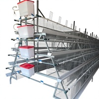 WIN Direct usine Cages à poules pondeuses en batterie pour 20 000 poules, 3/4 niveaux, pour l'élevage avicole, conception de type A