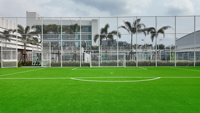Tapis d'herbe artificielle vert sportif pour jardin, pelouse artificielle douce, gazon synthétique pour terrains de football