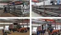 Bâtiment industriel en structure métallique pour abri de bétail, poulailler, ferme et utilisation agricole préfabriquée