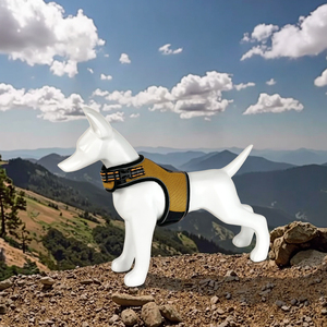 الشركة المصنعة الأعلى مبيعًا الصيف تنفس وصديقي للموضة شبكة الهواء شخصية سهلة قابلة للتعديل عاكس المشي آمن الكلب تسخير - Product Image 2