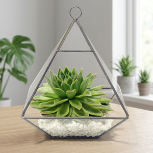 Terrario de metal de vidrio templado, terrario geométrico decorativo para plantas de interior, Terrario de vidrio - Product Image 3