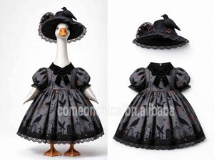Déguisement d'oie d'Halloween pour porche, ensemble robe imprimée toile d'araignée et corbeau avec chapeau de sorcière, décoration de jardin extérieur pour les fêtes - Product Image 4