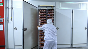 Nouvel incubateur entièrement automatique en acier inoxydable <span class=keywords><strong>de</strong></span> type boîte grande capacité pour l'éclosion des œufs <span class=keywords><strong>de</strong></span> poulet, d'oie, <span class=keywords><strong>de</strong></span> <span class=keywords><strong>canard</strong></span> et d'autres oiseaux (38400 œufs) - Product Image 6