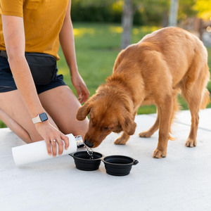 OEM ODM Tazones Plegables para Perros, Recipiente Portátil para Agua y Comida para Cachorros, Botella para Perros, Dos Tazones, Comedero para Mascotas y Gatos - Product Image 1