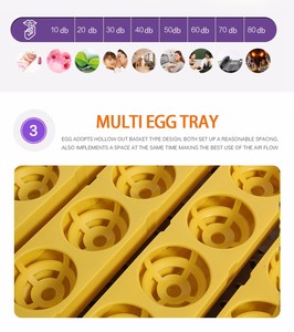 HHD Pollo/Pato/Ganso/Aves de Corral Incubadora de huevos completamente automática Bandeja de huevos con estriado - Product Image 4