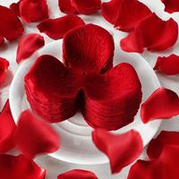 Pétales de rose en velours de haute qualité, fleurs artificielles, pétales de rose artificiels, décoration et fournitures pour mariage