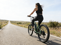 Vélo de montagne électrique sans balais personnalisable en alliage d'aluminium de 26 pouces, moyeu arrière 250W, batterie au lithium 36V 7.8Ah, 7 vitesses, tout-terrain