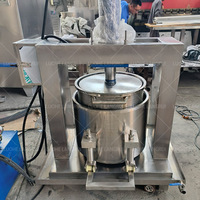 Oranje Koude Juicer Commercieel Fruit Hydraulisch Sap Pers Kokosmelk Horizontale Hydraulische Pers