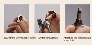 Parche de terapia herbal Moxa, fórmula antiinflamatoria para el cuidado de la salud, disipación de frío, pedido a granel para clínicas TCM - Product Image 6