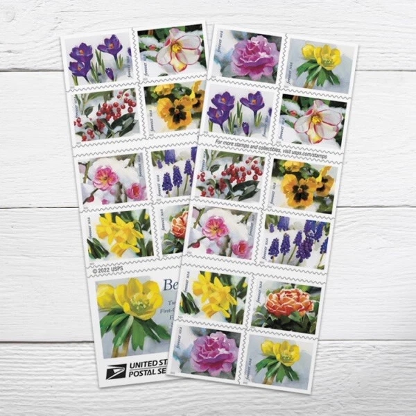Fleurs de beauté enneigées 2022 500374-G2-63-22XJSMH