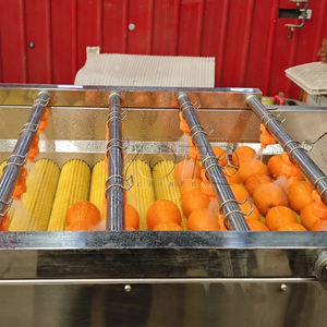 Lavadora de frutas de mango Máquina clasificadora de naranja mandarina - Product Image 4