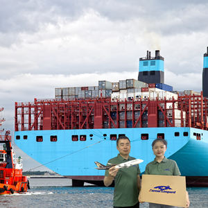 Gratis Sample Beste Istanbul Expediteur Vanuit China Japan Zeevracht Tarieven naar Brazilië Zeevracht - Product Image 1