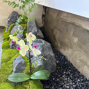 Đá trang trí cảnh quan trong nhà/ngoài trời thân thiện với môi trường, thiết kế tối giản cho vườn, hồ, công viên, khách sạn, biệt thự, tiểu cảnh đá. - Product Image 2