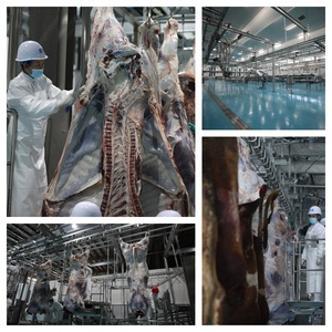Комплектное оборудование для убоя крупного рогатого скота: линия переработки, машина для разделки туш для животноводства - Product Image 6