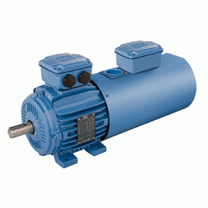 มอเตอร์ Weg Motor แรงดันไฟฟ้า 220/380 AC และได้รับการรับรองมาตรฐาน CE - Product Image 2