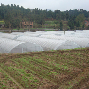 8X60M Gegalvaniseerd Stalen Frame Tunnel Huis Agrarische Kas - Product Image 4